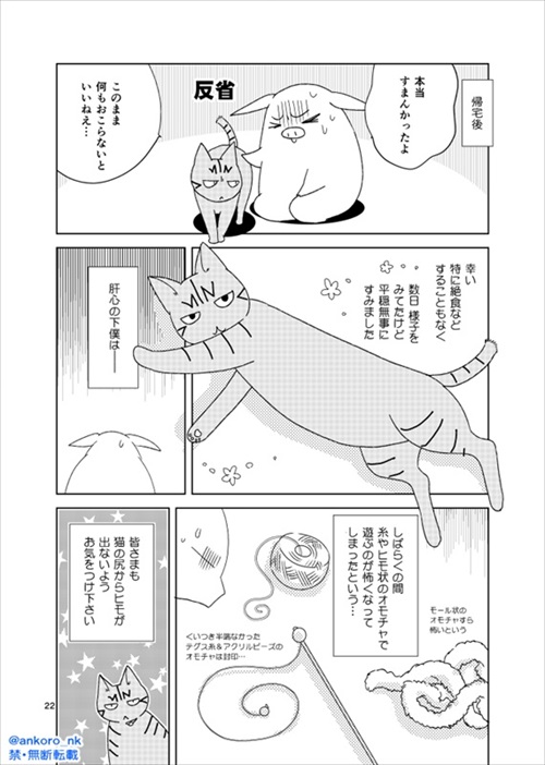 猫の尻からヒモが出た
