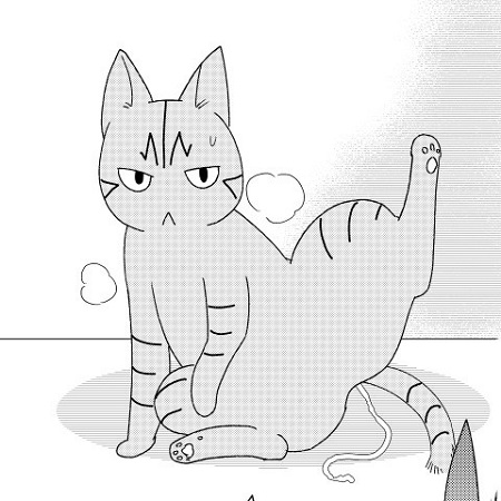 猫の尻からヒモが出た
