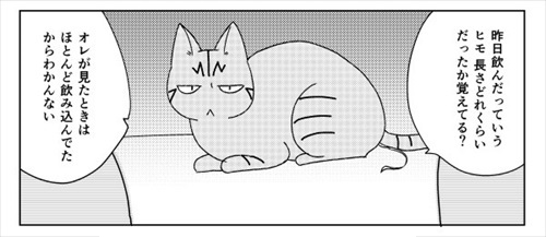 猫の尻からヒモが出た