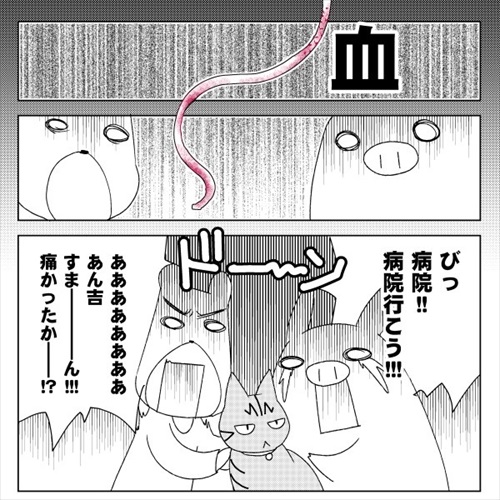 猫の尻からヒモが出た