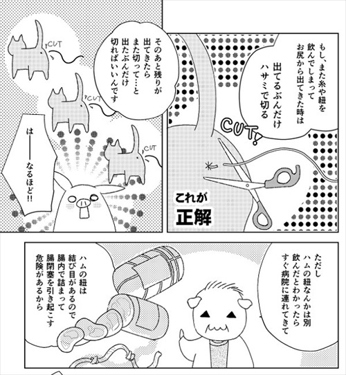 猫の尻からヒモが出た