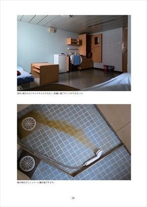 同人誌 図書館 司書