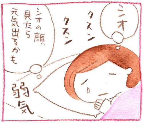 いのうえむつみ　猫　猫漫画　猫マンガ　面白　かわいい　邪魔