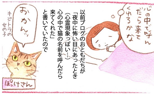 いのうえむつみ　猫　猫漫画　猫マンガ　面白　かわいい　邪魔