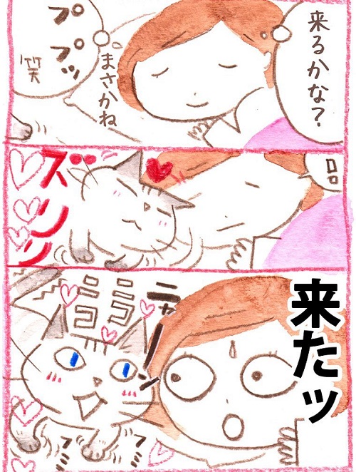 いのうえむつみ　猫　猫漫画　猫マンガ　面白　かわいい　邪魔