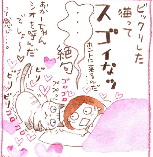 いのうえむつみ　猫　猫漫画　猫マンガ　面白　かわいい　邪魔