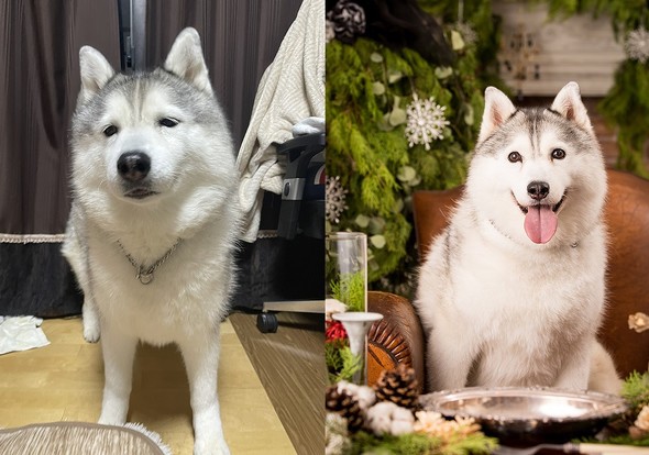 ソファで笑顔のシルビアちゃん