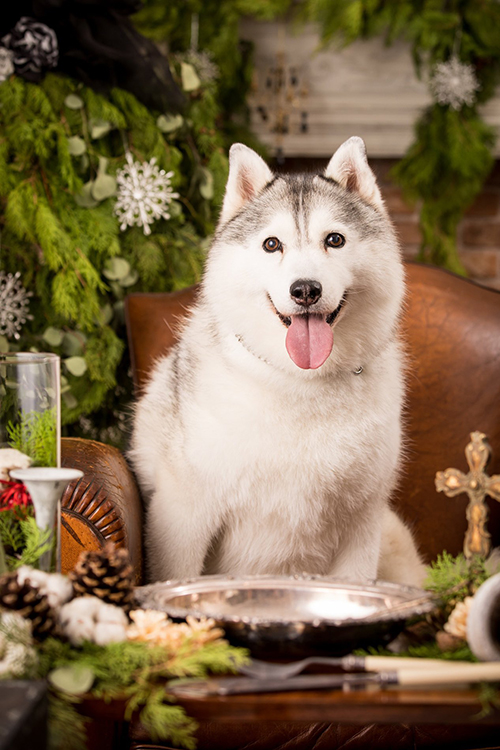 ソファで笑顔のシルビアちゃん