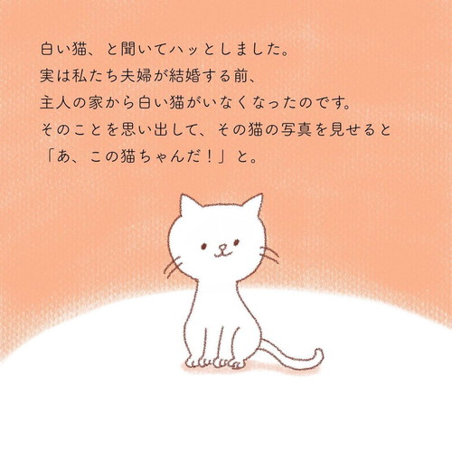 「ねこと一緒に」