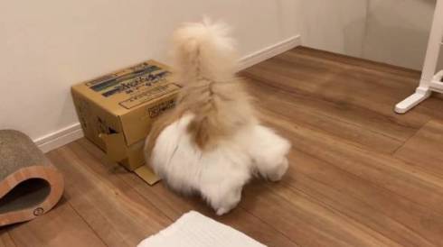 おすすめ
