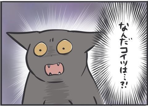 黒猫 スミ アヤ キャットタワー 場所 猫パンチ 猫