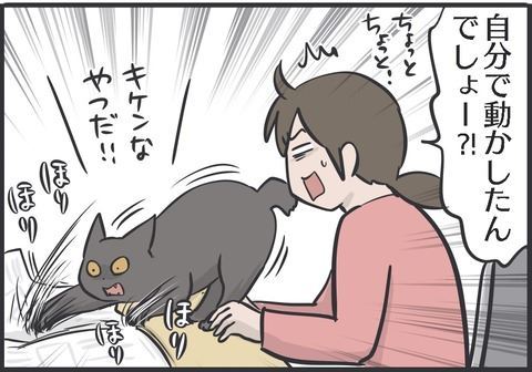 黒猫 スミ アヤ キャットタワー 場所 猫パンチ 猫