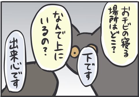 黒猫 スミ アヤ キャットタワー 場所 猫パンチ 猫