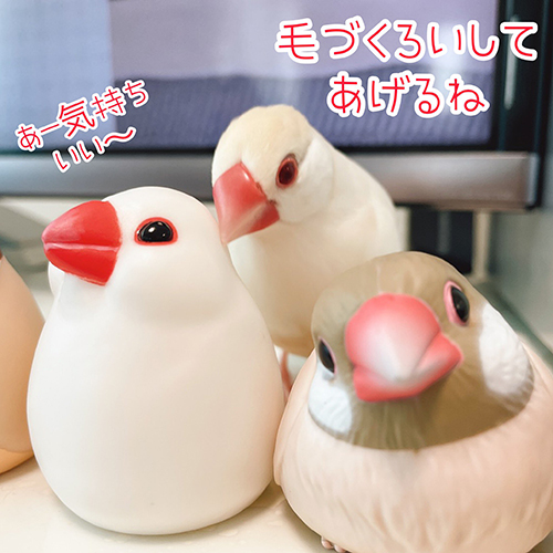 文鳥　かわいい　面白　うさぎ　クリーム文鳥