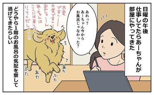 おすすめ
