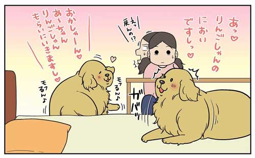 犬 お風呂 逃げる りんご 釣られ 漫画