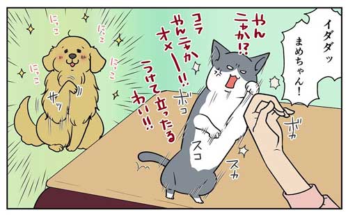 犬 お風呂 逃げる りんご 釣られ 漫画