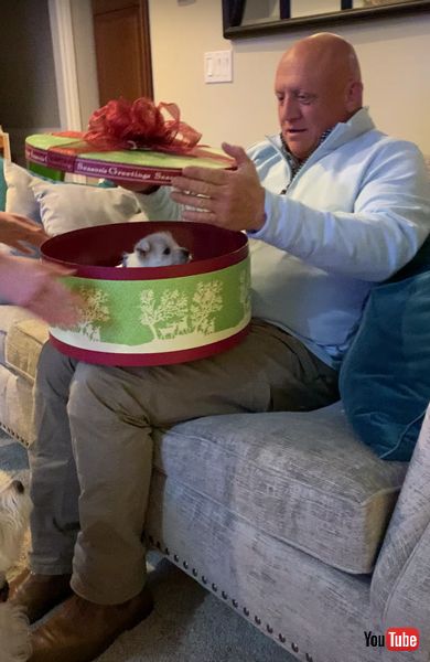 子犬のサプライズプレゼントの画像 子犬 サプライズ お父さん 感動動画 ほっこり