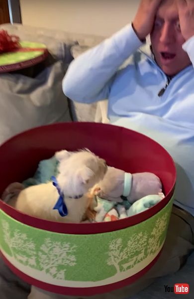 子犬のサプライズプレゼントの画像 子犬 サプライズ お父さん 感動動画 ほっこり