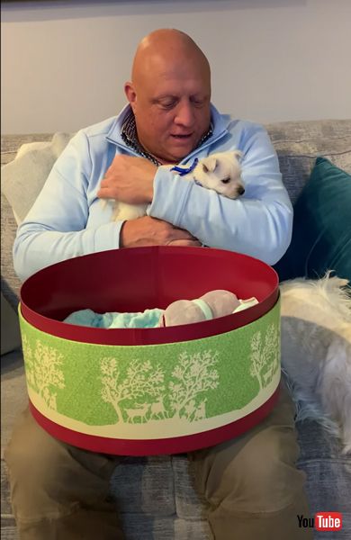 子犬のサプライズプレゼントの画像 子犬 サプライズ お父さん 感動動画 ほっこり