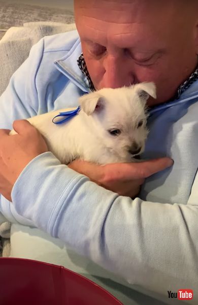 子犬のサプライズプレゼントの画像 子犬 サプライズ お父さん 感動動画 ほっこり