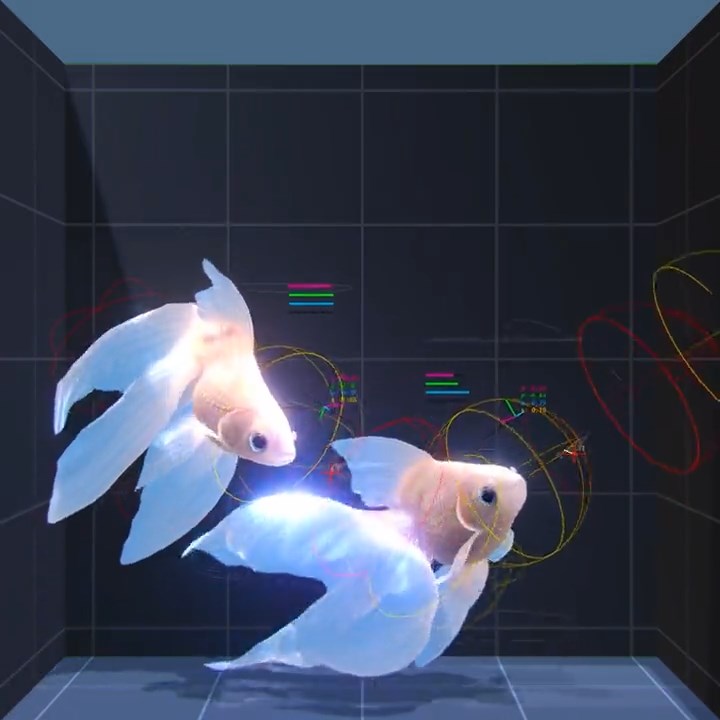 本物かと思った！　AI制御のCG金魚に驚きの声　ヒレを翻し優雅に泳ぐ姿にうっとり