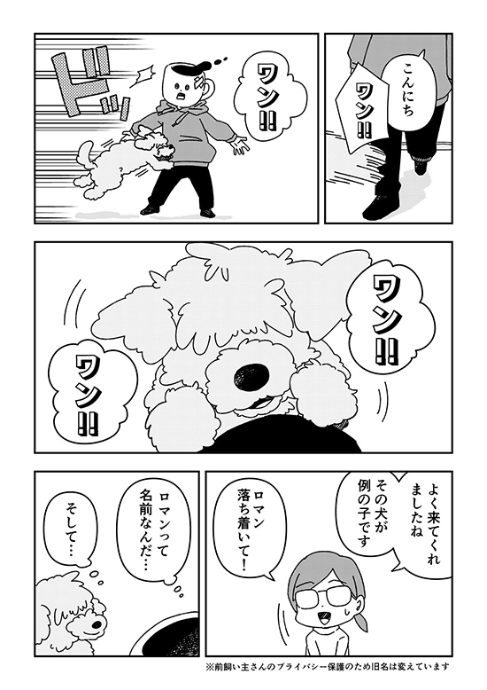 ペットロスを経て新しい家族を迎えた時の話11 ペットロス 漫画 無料漫画 犬 ワンコ 感動 保護犬