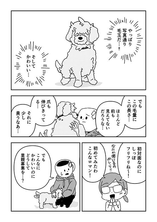 ペットロスを経て新しい家族を迎えた時の話12 ペットロス 漫画 無料漫画 犬 ワンコ 感動 保護犬