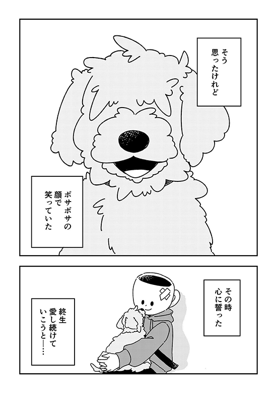 ペットロスを経て新しい家族を迎えた時の話18 ペットロス 漫画 無料漫画 犬 ワンコ 感動 保護犬
