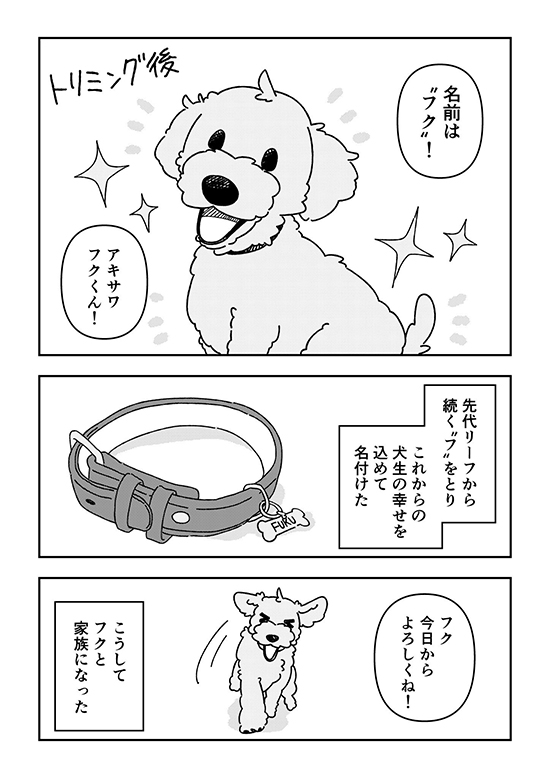 ペットロスを経て新しい家族を迎えた時の話20 ペットロス 漫画 無料漫画 犬 ワンコ 感動 保護犬