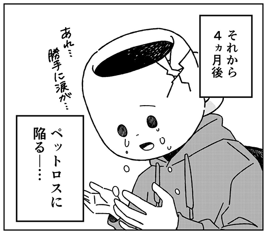 ペットロスに陥るコマ切り抜き ペットロス 漫画 無料漫画 犬 ワンコ 感動 保護犬