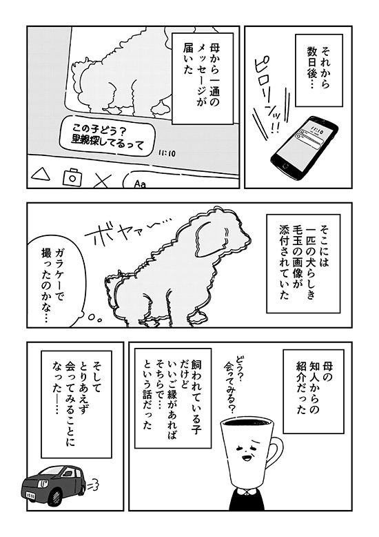 ペットロスを経て新しい家族を迎えた時の話9 ペットロス 漫画 無料漫画 犬 ワンコ 感動 保護犬