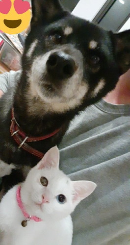 ゆきちゃんとあんこちゃん