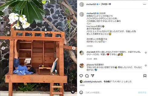 梨花 息子 ツリーハウス