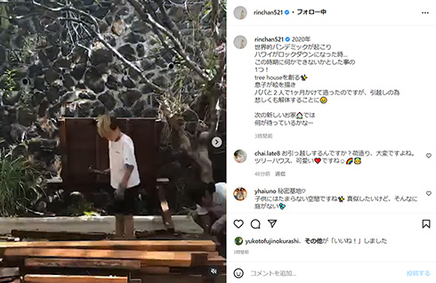 梨花 息子 ツリーハウス