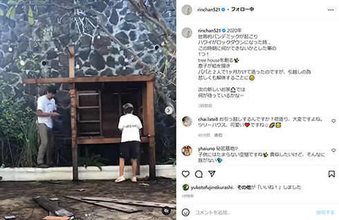 梨花 息子 ツリーハウス