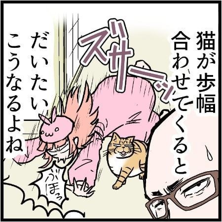 猫 ミュウ レナ コボボイ 冬 あたたかい うさ子