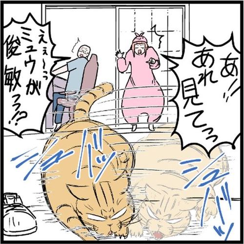 猫 ミュウ レナ コボボイ 冬 あたたかい うさ子