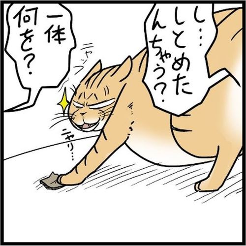 猫 ミュウ レナ コボボイ 冬 あたたかい うさ子