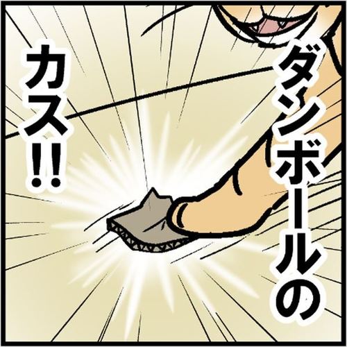 猫 ミュウ レナ コボボイ 冬 あたたかい うさ子