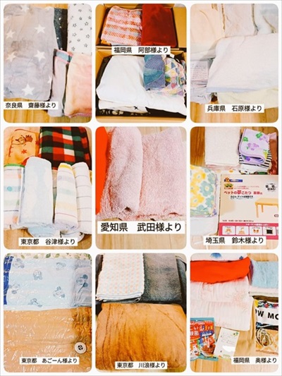 保護猫シェルターCOCOねこ