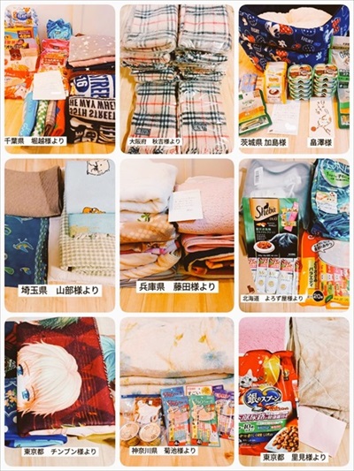 保護猫シェルターCOCOねこ