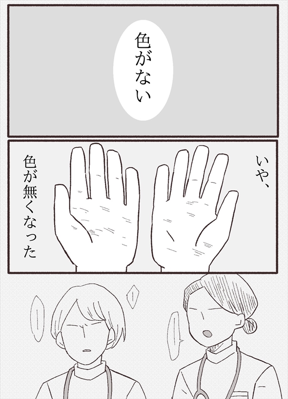 「ちびっこしろにゃんの色彩屋さん」