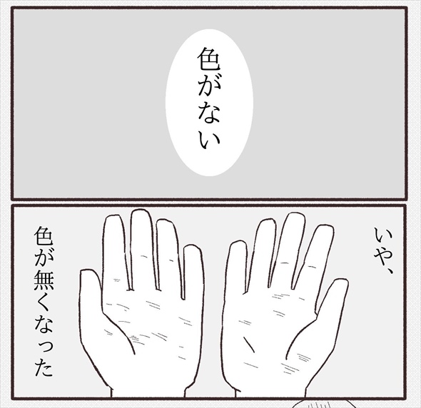 「ちびっこしろにゃんの色彩屋さん」