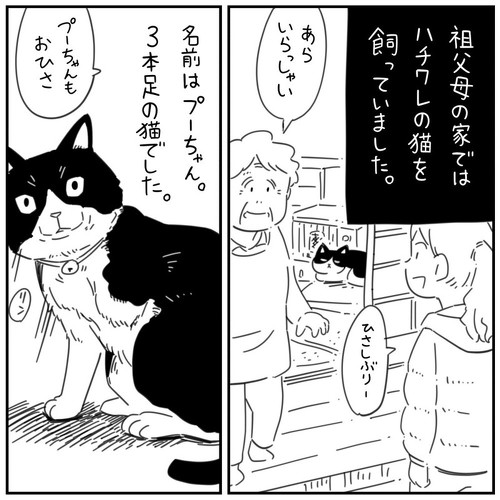 猫漫画 無料 感動 本当にあった怖い話 おじいちゃん 野良猫