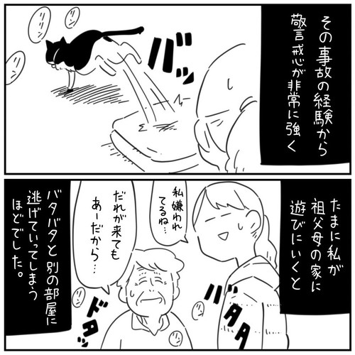 猫漫画 無料 感動 本当にあった怖い話 おじいちゃん 野良猫