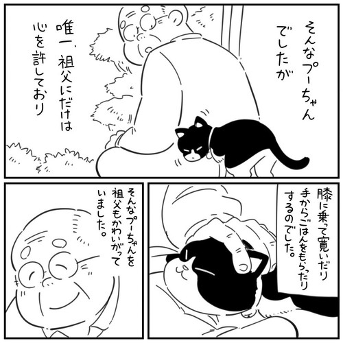 猫漫画 無料 感動 本当にあった怖い話 おじいちゃん 野良猫