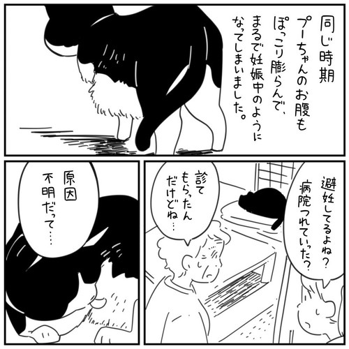猫漫画 無料 感動 本当にあった怖い話 おじいちゃん 野良猫