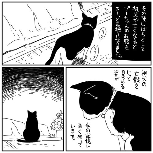 猫漫画 無料 感動 本当にあった怖い話 おじいちゃん 野良猫