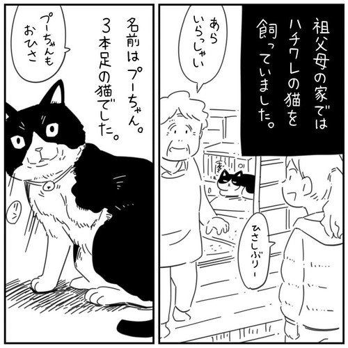 猫漫画 無料 感動 本当にあった怖い話 おじいちゃん 野良猫
